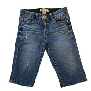 Democracy Denim Blue Jean Shorts